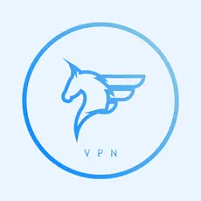 飞马vp n加速器下载